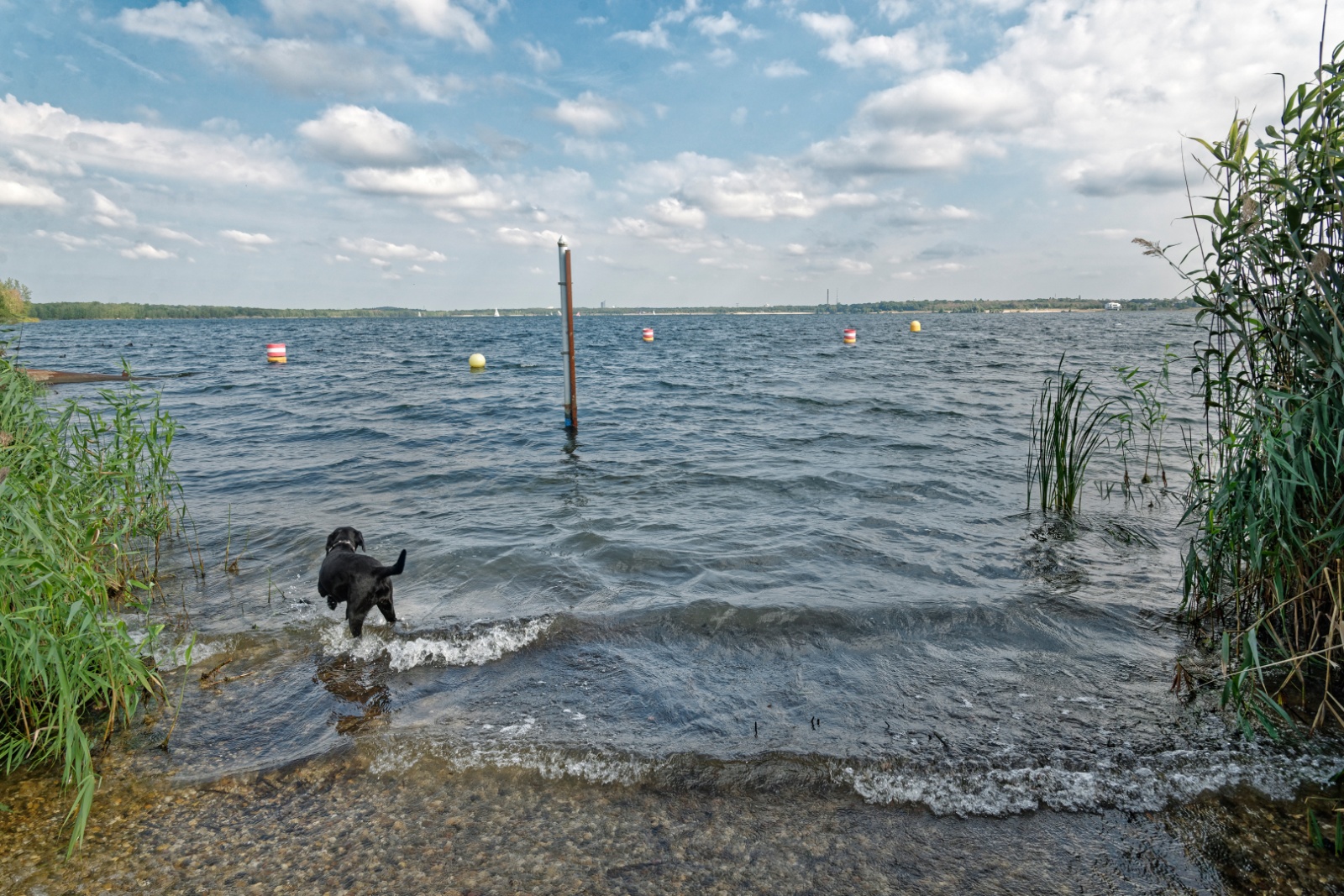 Line und Cospudener-See, Leipzig 2016